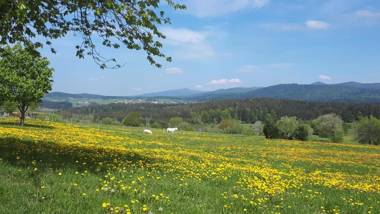 Ferienwohnung Schäfer im Landhaus Almberg App. 11