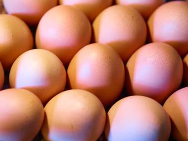 Gasthof-Hotel Pietsch