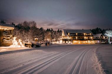 Hotel Grüner Wald