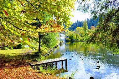 Hotel Langenwaldsee
