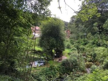 Gut Lauterbad Hotel