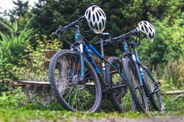 Dorint Thermenhotel Freiburg