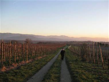 Zum Rebberg Ferienwohnungen