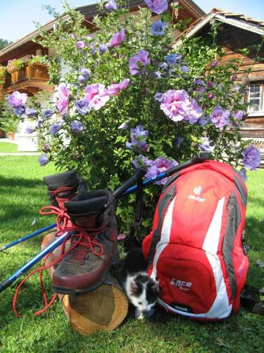 Ferienwohnungen Wanderparadies Bauernhof