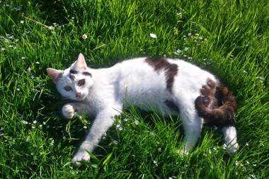 Ferienwohnungen Wanderparadies Bauernhof