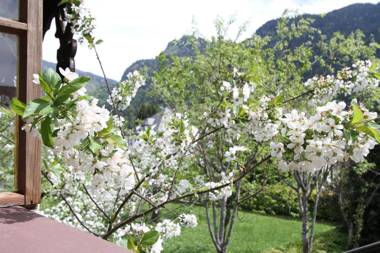 Ferienwohnung Haus Jennerwein