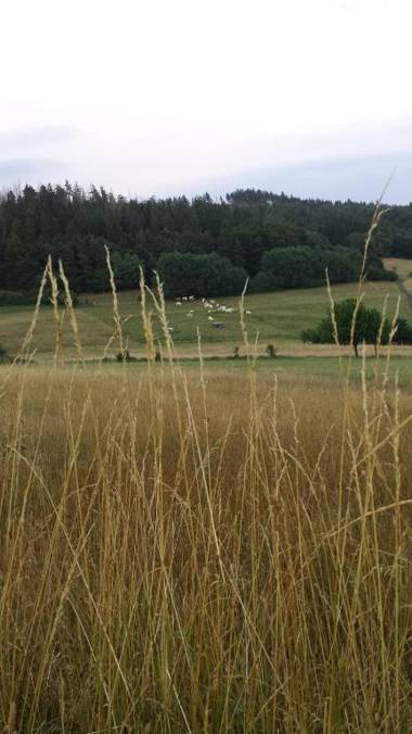 Ferienhaus Kellerwald