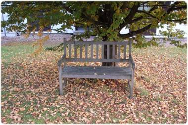 Ferienhaus Kellerwald