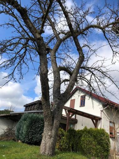 Ferienwohnung Familie Tröger