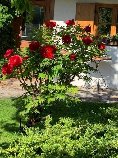 Ferienwohnung Fanese