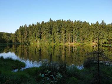 Ferienwohnung Fichtelmountain