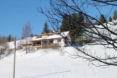 Black Forest Apartements by Hotel Grüner Baum Feldberg