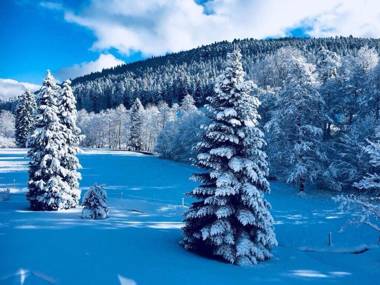 Landhaus Enztalperle