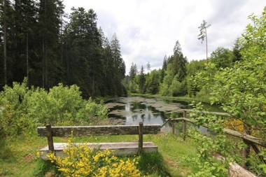 Ferienwohnung ENZTALPERLE