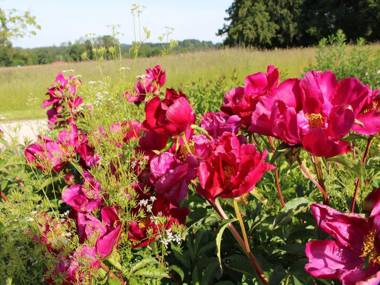 Ferienwohnung Dacherl