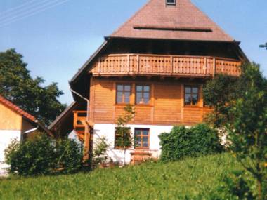 Spacious Apartment near Forest in Oberprechtal