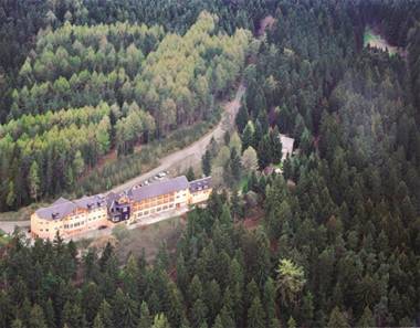 Hotel Am Wald - garni -