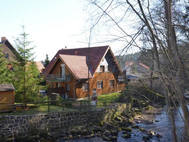 Cozy Holiday Home in Elend Harz with Private Sauna