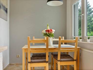 Stylish holiday home in the Harz forest setting terrace fireplace garden detached