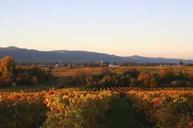 Ferienwohnung Spatzennest in Edesheim