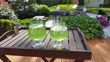 Appartment "Gerasymchuk" im Einfamilienhaus