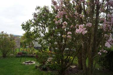 Wohlfühloase Rudolf