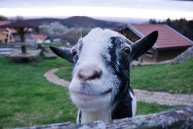 Ferienwohnung Altes Schulhaus Greising