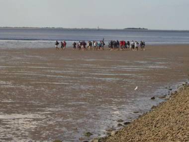 Haus-Halligblick-Ferienwohnung-Pellworm