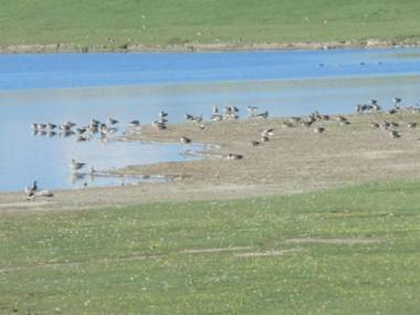 Haus-Halligblick-Ferienwohnung-Hamburger-Hallig