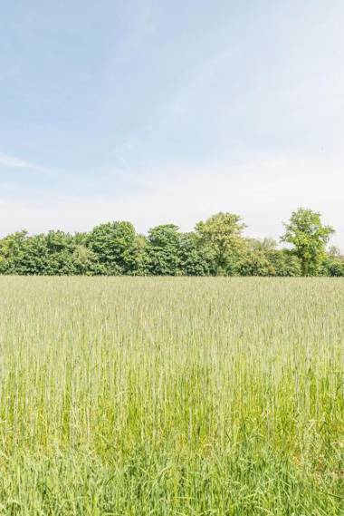 Landhaus Braband Ferienwohnungen - Gustav-Schönleber-Weg 2