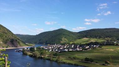 Ferienweingut Oswald Friederich