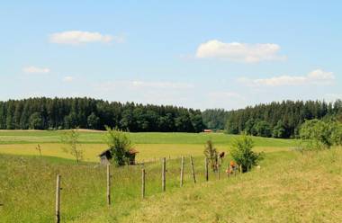 Ferienwohnung Pölzl