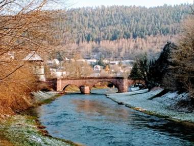 Ferienwohnungen Calwer Höfle City