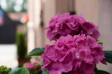 Hotel Schuberths am Markt