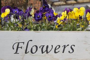 Hotel-Pension Achtern Diek