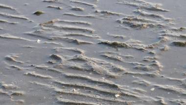 Astra Maris Apartments