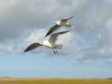 Apartment Am Mühlendeich