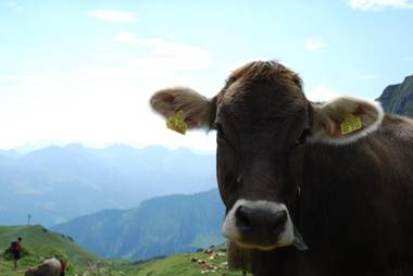 Ferienwohnung Eisele