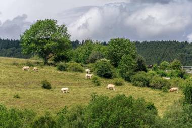 The Conscious Farmer Bed and Breakfast Sauerland