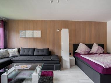 Cosy Apartment in Willingen near WIllingen Train Station