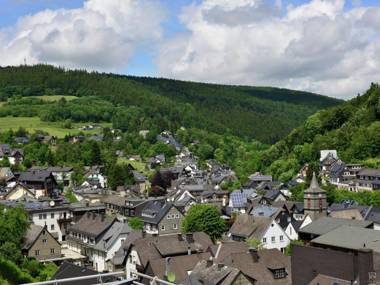 Modern Apartment in Willingen with Central Heating