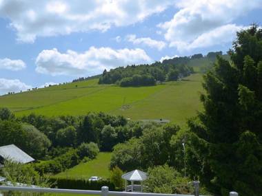 Beautiful Apartment in Willingen with a Balcony