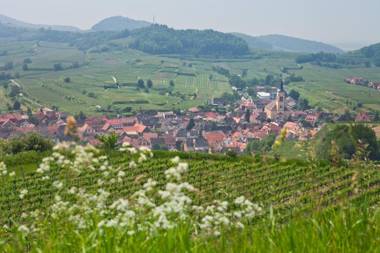 Braviscasa - Ferienresidenz Haus am Bach Vogtsburg