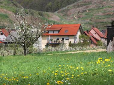 Ferienwohnung Graf
