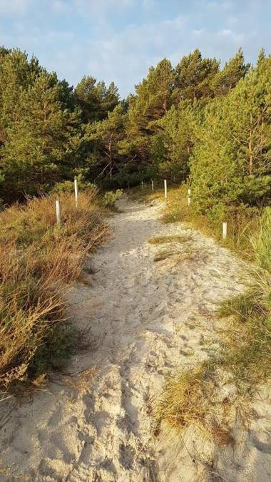 Ferienwohnung Bernsteinpark nur 350 m zum kilometerlangen Sandstrand