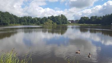 Hotel Villa Ulmenhof