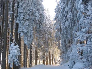 Gästehaus - Haus am Schultal