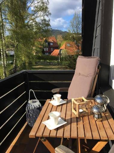 Luxuriöse 3-Zi. Ferienwohnung Jagdromantik 200 m bis zur Wurmbergsseilbahn