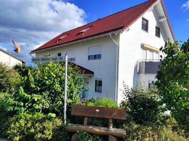 Gesund Wohnen Apartment 3 A