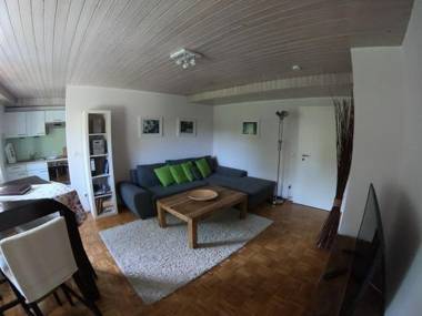 Ferienwohnung Thann